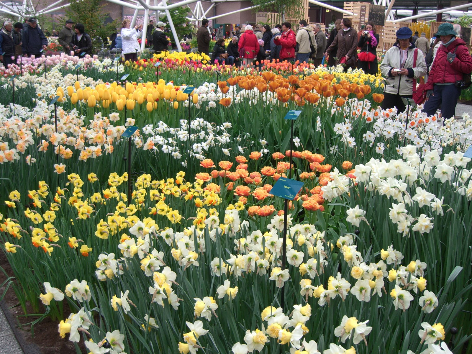 Netherlands Keukenhof
